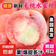 山東蒙陰水蜜桃脆桃紅桃脆甜新鮮毛桃應(yīng)季水果現(xiàn)摘桃子多汁正宗昕 蒙陰水蜜桃  凈重5斤