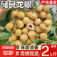 廣東正宗儲(chǔ)良龍眼老樹(shù)果現(xiàn)摘當(dāng)季生鮮水果桂圓源頭產(chǎn)地直發(fā)包郵 儲(chǔ)良龍眼【凈重2.5斤】