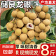 廣東正宗儲(chǔ)良龍眼老樹果現(xiàn)摘當(dāng)季生鮮水果桂圓源頭產(chǎn)地直發(fā)包郵 儲(chǔ)良龍眼【凈重8斤】