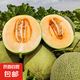 西州蜜瓜小蜜25號黃金哈密瓜新鮮當(dāng)季蜜瓜沙漠黃金脆香哈密瓜 凈重8-9斤2-3枚裝