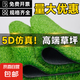 仿真草坪假草皮人工草坪地毯戶外草坪墊足球場(chǎng)陽臺(tái)造景陽臺(tái)造景 【5D黑背】2cm雙層網(wǎng)格特密春草 【0.3米寬*0.3米長(zhǎng)】