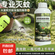 長效防蚊蟲高效氯氟氰菊酯滅蚊子藥庭院戶外非無毒藥水噴霧殺蟲劑 3瓶+大噴壺+手套+量杯