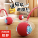 【京東快遞】貓咪玩具自嗨解悶智能逗貓球自動逗貓遛貓遛狗突突球 奢華版【帶繩款寵物球】