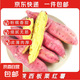 正宗陜西板栗紅薯新鮮現(xiàn)挖現(xiàn)發(fā)農(nóng)家當季自種紅薯新鮮紅薯 帶箱5斤裝，凈重4.5斤 單果150-400g