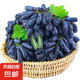 【現(xiàn)摘】藍(lán)寶石金手指葡萄新鮮孕婦水果整串美人指鮮果無籽黑提子 1斤