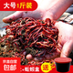 蚯蚓活餌鮮活紅蟲(chóng)垂釣魚(yú)餌料鯽魚(yú)鯉魚(yú)野釣黑坑魚(yú)食打窩料通殺魚(yú)料 活體蚯蚓一斤（大號）送營(yíng)養土