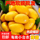 小臺芒新鮮現摘產(chǎn)地直發(fā)微花皮半黃發(fā)貨 2斤大果【帶箱】89g+