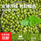 農(nóng)家綠豆 中小顆粒 新豆打豆?jié){發(fā)豆芽綠豆湯綠豆沙粽子 小粒綠豆450g