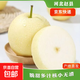 京喜加趙州皇冠梨河北皇冠梨產(chǎn)地直發(fā) 皇冠梨帶箱1斤單果140g+