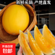 黃河水灌澆黃河蜜瓜民勤蜜瓜頭茬超甜 黃河蜜5-5.5斤