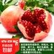 石榴樹(shù)樹(shù)苗突尼斯軟籽樹(shù)苗特大石榴樹(shù)苗無(wú)籽庭院地栽種植當年結果 突尼斯軟籽【3公分帶土球發(fā)貨】