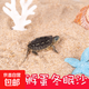 烏龜純天然免洗用細河沙魚(yú)缸兩用鋪底石底砂草龜巴西龜沙子顆粒 烏龜專(zhuān)用沙10斤(廠(chǎng)長(cháng)推薦)