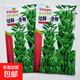 矮腳油芝麻種子中早熟芝麻種白芝麻黑芝麻榨油芝麻 白芝麻種子 矮腳一條鞭白芝麻種子40克