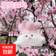 武漢文創(chuàng  )蒜鳥(niǎo)發(fā)聲玩偶紀念品鄂人和平鳥(niǎo)鑰匙扣毛絨玩具公仔掛件 【限定】粉色櫻花蒜鳥(niǎo)【1個(gè)裝】 武漢蒜鳥(niǎo)背包掛件桌面擺件