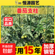 西紅柿支架番茄架子陽(yáng)臺(tái)種植架豆角黃瓜爬藤架花卉綠植支撐架植物 11mm*90cm三桿六卡(30cm)