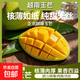 越南進(jìn)口大玉芒新鮮特大當(dāng)季水果現(xiàn)摘越南青皮芒玉芒熟單果300g起 玉芒2斤凈重單果300g起