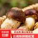 【京東空運】云南新鮮姬松茸赤松茸林下采摘煲湯產(chǎn)地直采姬松茸 新鮮姬松茸2斤凈重