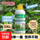 植物營(yíng)養液植物花卉營(yíng)養液多肉綠植蔬菜營(yíng)養液水溶通用肥料500ml 【觀(guān)葉植物專(zhuān)用】營(yíng)養液500ml