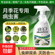 月季花病蟲(chóng)害常用藥白粉病黑斑病專(zhuān)用花卉玫瑰殺蟲(chóng)劑非紅蜘蛛蚜蟲(chóng) 花卉植物殺蟲(chóng)劑500ml*1瓶