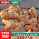 京喜自營(yíng)山東濰坊新鮮大姜大黃姜月子姜超市生鮮蔬菜調(diào)料姜 優(yōu)選 1斤 凈重