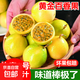 欽蜜9號(hào)黃金百香果當(dāng)季新鮮水果鵬茂生鮮禮物現(xiàn)摘現(xiàn)發(fā) 【小果】10粒
