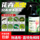 花卉殺蟲(chóng)劑植物通用綠植蚜蟲(chóng)除蟲(chóng)劑多肉月季花蚧殼蟲(chóng)紅蜘蛛殺蟲(chóng)藥 1瓶*300ml