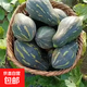 廣西香芋南瓜粉糯香甜新鮮蔬菜生鮮 粉糯香芋南瓜凈重 3斤
