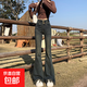復(fù)古辣妹流蘇微喇叭牛仔褲女夏季彈力顯瘦高腰毛邊馬蹄拖地褲KXW 953復(fù)古藍(lán) 2XL 【125-145斤】