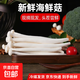 【新鮮海鮮菇】新鮮食用菌菇火鍋燒烤炒菜煲湯百搭蔬菜 1斤海鮮菇（250ｇ*2包）