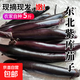 東北農(nóng)家紫褲茄子黑茄子長線大茄子現(xiàn)摘現(xiàn)發(fā)新鮮燒烤蔬菜 5斤