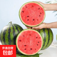 正宗黑籽麒麟西瓜應(yīng)季新鮮水果新鮮現(xiàn)摘沙瓤薄皮麒麟瓜 麒麟西瓜 6-7斤 1枚裝