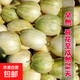 嘎嘎甜東北香瓜種子黃甜瓜水果種子春秋易種含糖量高農(nóng)家老品種 嘎嘎甜種子 1包約100粒