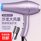 發(fā)廊大風(fēng)吹風(fēng)機家用大功率速干藍光負離子電吹風(fēng)機冷熱風(fēng)護發(fā)靜音 1200W【超強颶風(fēng)】?jì)?yōu)雅紫