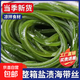 鹽漬海帶絲 霞浦新鮮海帶 涼拌菜火鍋食材 500g*5包