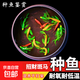 招財觀賞魚蝶翼長尾斑馬魚活體小魚耐活熱帶魚好養(yǎng)冷水魚淡水活魚 2-4cm翡翠斑馬2條種魚（可繁殖）