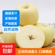 正宗山東煙臺黃金奶油富士蘋(píng)果  奶油蘋(píng)果 脆甜多汁 凈重4.5-5斤大果（80mm+）