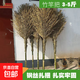 竹掃把馬路掃大掃帚環(huán)衛戶(hù)外家用手工制作笤帚掃帚掃雪公路竹枝 竹竿把金枝4斤五把裝2.3米8束