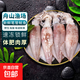 大魷魚冷凍筆管大魷魚冰凍海鮮商用批發(fā)鐵板鮮燒烤尤魚 筆管魷魚 1斤(凈重)