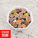 多肉彩色pp花精品生石花瓷盆套餐帶盆栽好屁股花肉錐簡約生石花 7公分口徑塑料八角盆生石花（兩年生20顆）