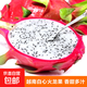 【京東快遞】越南白心火龍果進(jìn)口熱帶新鮮水果健康輕食孕婦水果 【實惠裝】帶箱8斤 單果300g+