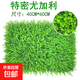 綠植墻仿真植物墻客廳室內陽(yáng)臺裝飾背景花墻面綠色壁掛塑料假草坪 特密尤加利
