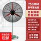 長(cháng)城電風(fēng)扇工業(yè)電風(fēng)扇強力壁扇大功率落地扇扇商用牛角風(fēng)扇除甲醛大風(fēng)力制冷 750落地扇【豪華款】【鈦鎂金扇葉】 【三擋變速】-燒機換新