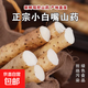 新鮮河北正宗小白嘴山藥鐵棍山藥麻山藥藥食同源輔食山藥 小白嘴山藥1000g 20cm-30cm/根