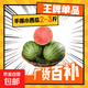 山東正宗頭茬2k手剝皮小西瓜薄皮新鮮冰激凌小糖丸超甜手撕小吊瓜 凈重2-3斤 手撕小西瓜