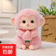 可愛猴子毛絨玩具小猴子玩偶公仔抱桃猴布偶兒童布娃娃生日禮物女 粉色 45cm