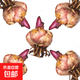 香水百合種球四季開花盆栽帶花苞進(jìn)口重瓣百合花球種子花苗鮮花卉 香水百合混色5球不含盆土
