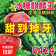 早佳8424麒麟西瓜種子南方播高產(chǎn)特大巨型少籽甜王西瓜子水果種子 早佳8424西瓜種子約225粒5包