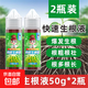 星宸花草博士快速生根液植物通用樹木壯苗生根粉扦插水培花卉綠植促生根生長 快速生根液50g*2瓶