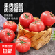 【京東配送】正宗普羅旺斯西紅柿番茄現摘現發(fā)沙瓤多汁可生吃 精品大果 6斤 帶箱