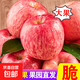 脆甜煙臺紅富士蘋(píng)果丑蘋(píng)果大果棲霞紅富士蘋(píng)果平果當季應季水果 山東煙臺蘋(píng)果 凈4斤85mm+